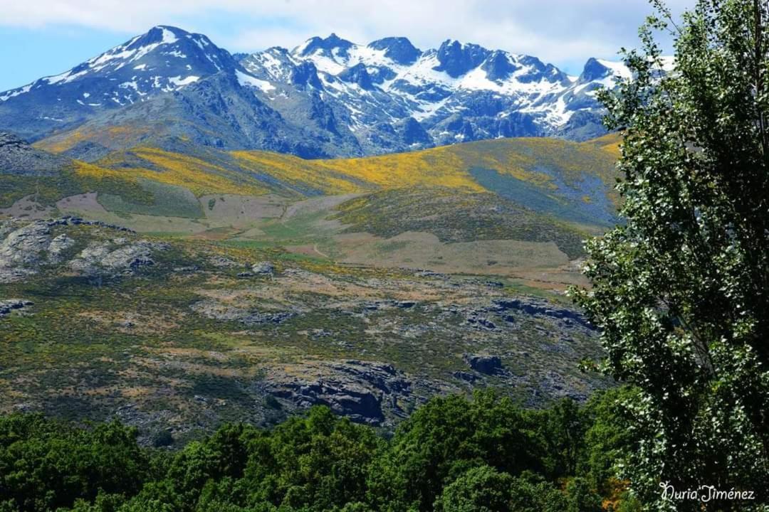 Casa Rural Las Canales Zapardiel de la Ribera Dış mekan fotoğraf